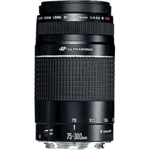 Canon EF 75-300mm f/4.0-5.6 III USM