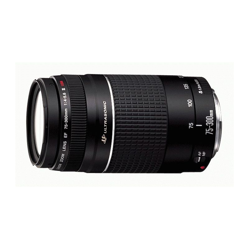 Canon EF 75-300mm f/4.0-5.6 III USM