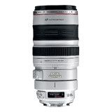 Canon EF 100-400mm f/4.5-5.6L IS USM