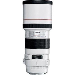 Canon EF 300 mm f4.0 L USM IS