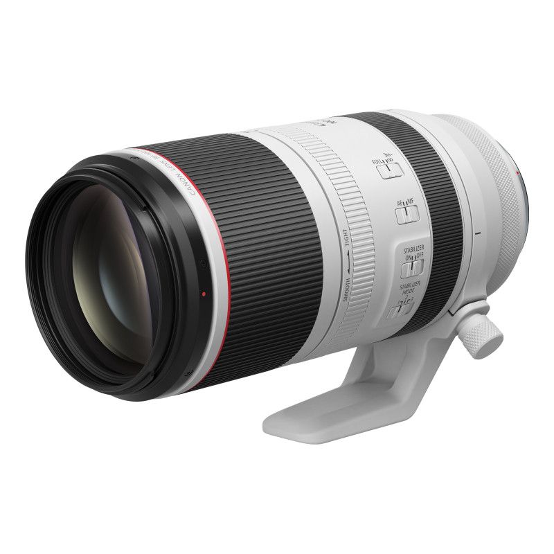 Canon RF 100-500mm F4.5-7.1L IS USM Lens