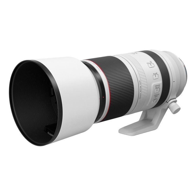 Canon RF 100-500mm F4.5-7.1L IS USM Lens