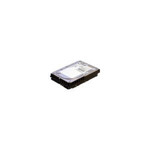 Hypertec 300GB SAS