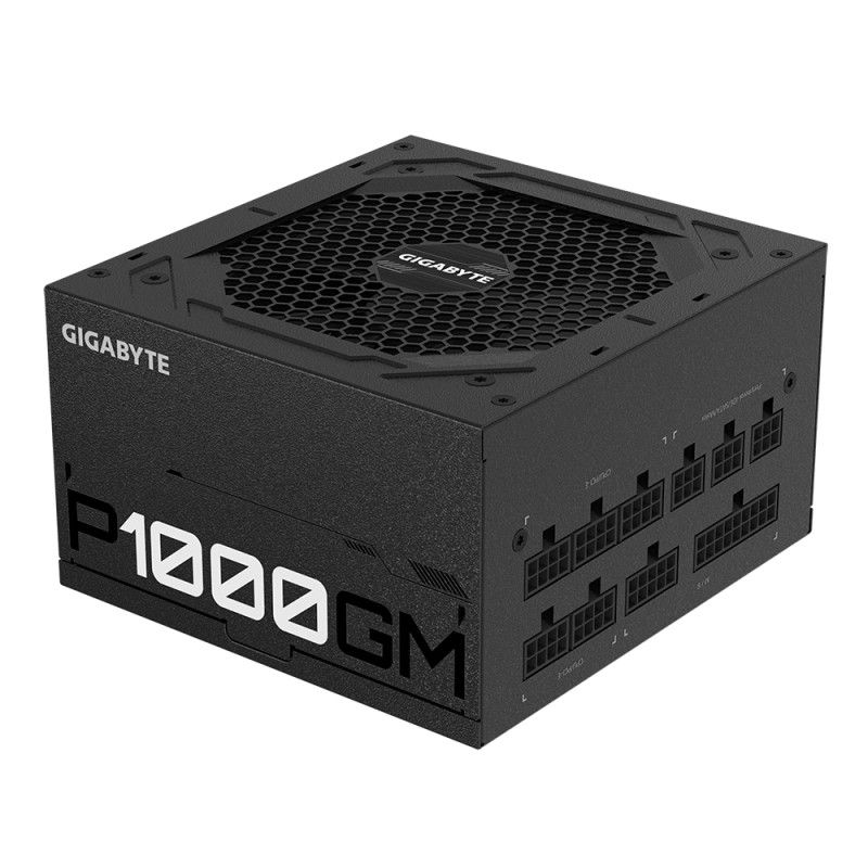 GIGABYTE P1000GM