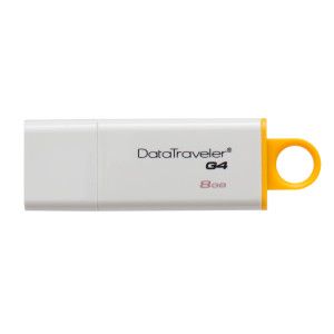Kingston Technology G4