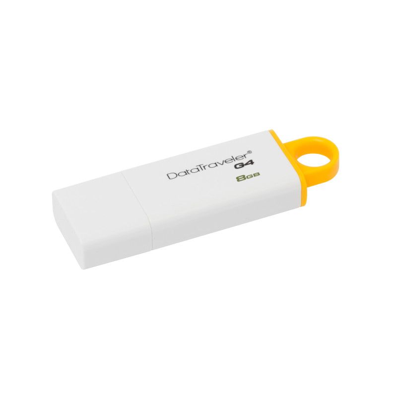 Kingston Technology G4