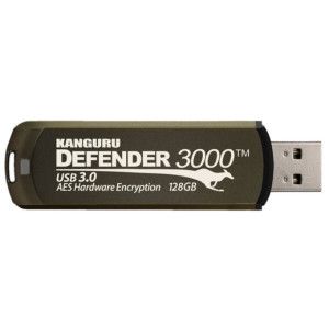 iStorage Defender 3000
