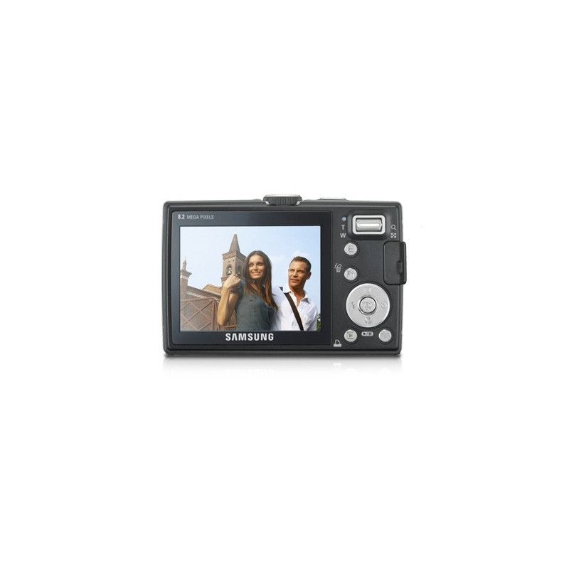 Samsung L100