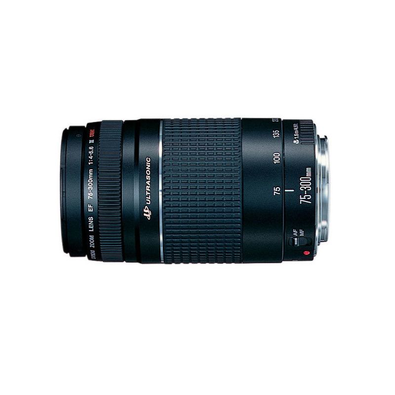 Canon 2000D + EF-S 18-55mm f/3.5-5.6 IS II + EF 75-300mm f/4-5.6 III