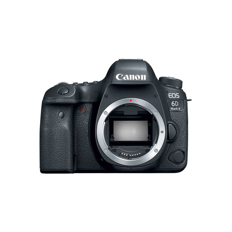 Canon 6D Mark II + EF 24-105mm f/4L IS II USM
