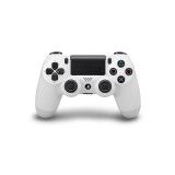 Sony Interactive Entertainment DualShock 4