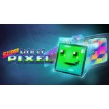Nintendo Super Life of Pixel