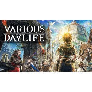 Nintendo VARIOUS DAYLIFE