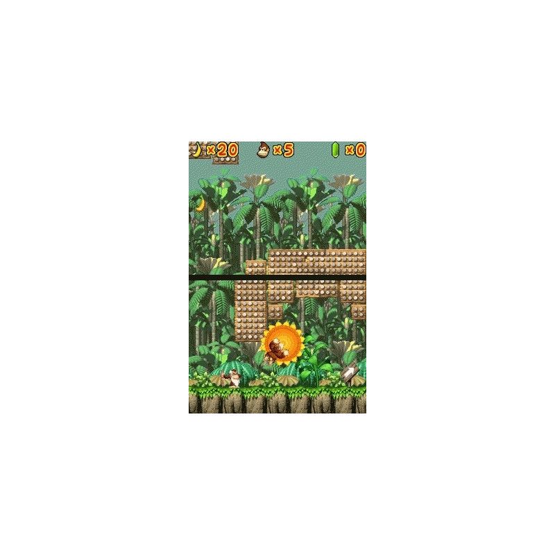 Nintendo Donkey Kong: Jungle Climber, NDS