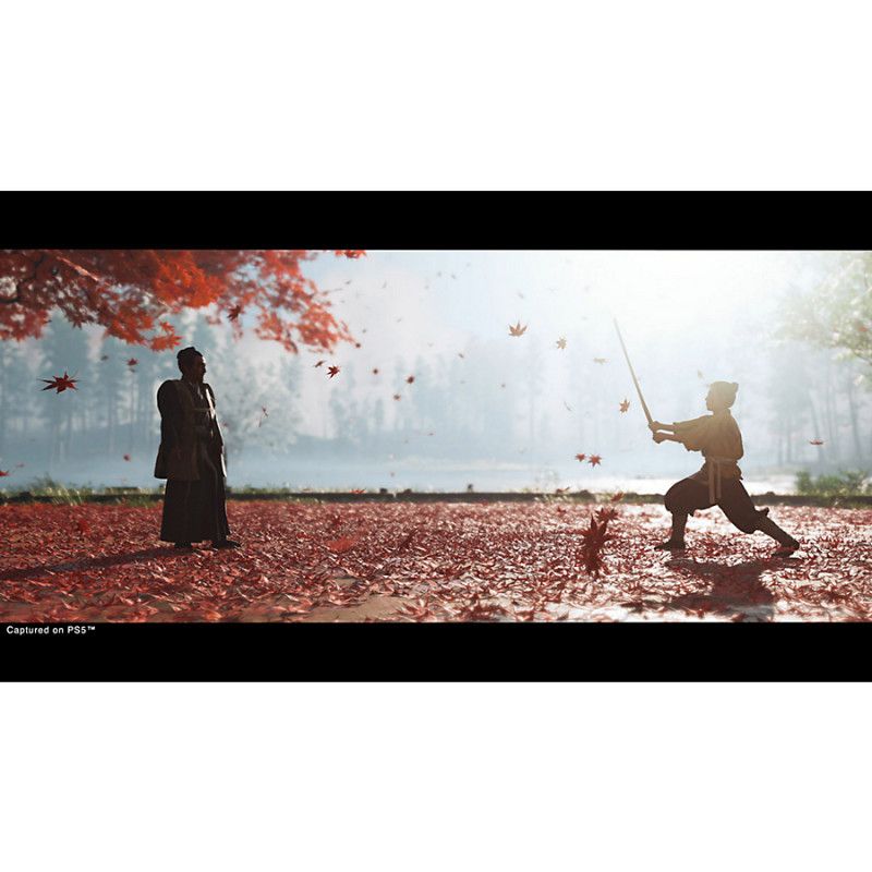 Sony Interactive Entertainment Ghost of Tsushima - Director’s Cut