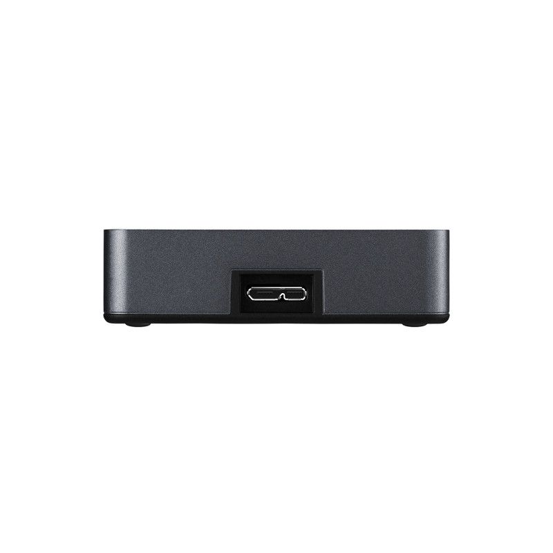Buffalo Safe (HD-PGF)
