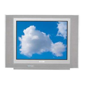 Philips 29" Stereo Real Flat TV