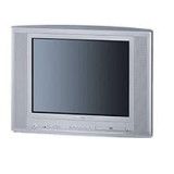 Grundig Elegance 21 Flat, TVD 55-2401/5